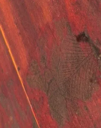 Armario Chino Antiguo Siglo XIX