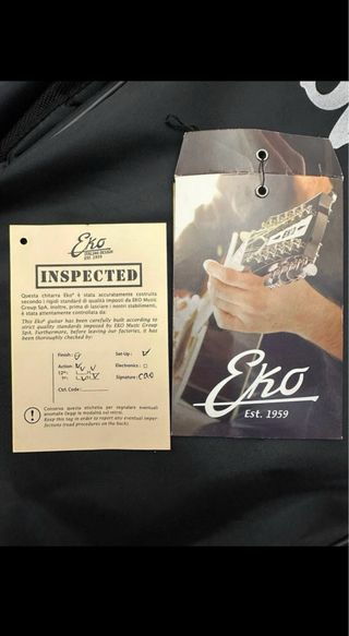 Chitarra Acustica Eko