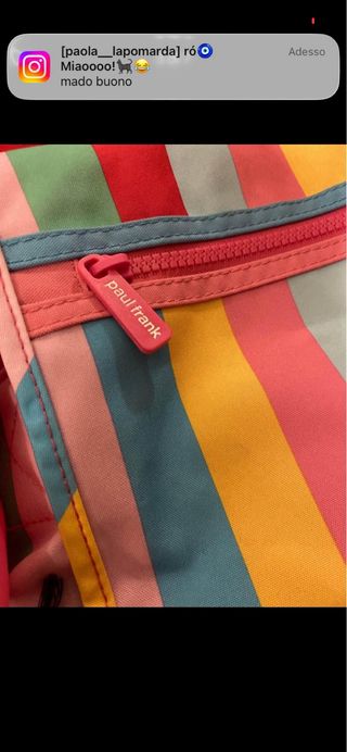 Borsa Paul Frank a righe