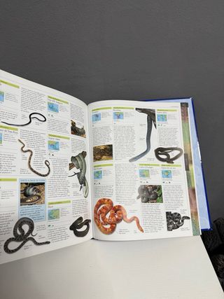 Grande Enciclopedia per Ragazzi – Animali