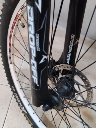 Bicicleta Orbea Talia (L) MTB