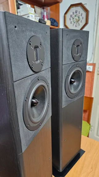 Altavoces DOMYNUX-HI-FI Negro/Marrón