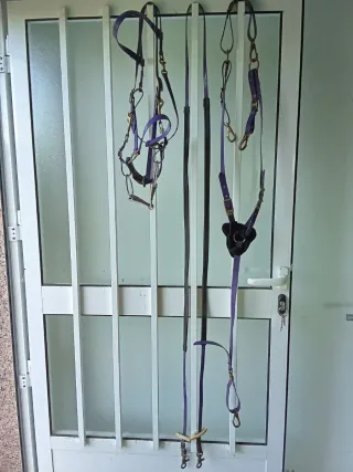 Conjunto de biothane para equitación