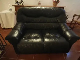 Sofá de piel de 2 plazas