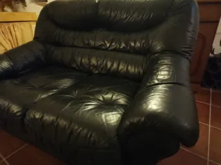 Sofá de piel de 2 plazas