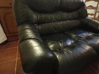 Sofá de piel de 2 plazas