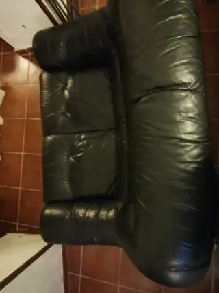Sofá de piel de 2 plazas