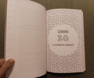 Libro 9 meses desde dentro: Una guía diferente del
