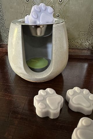 Brucia essenze + Tart cera di soia