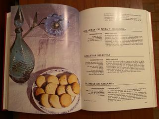 El libro de oro de la cocina Española. Tomo 7. Rep