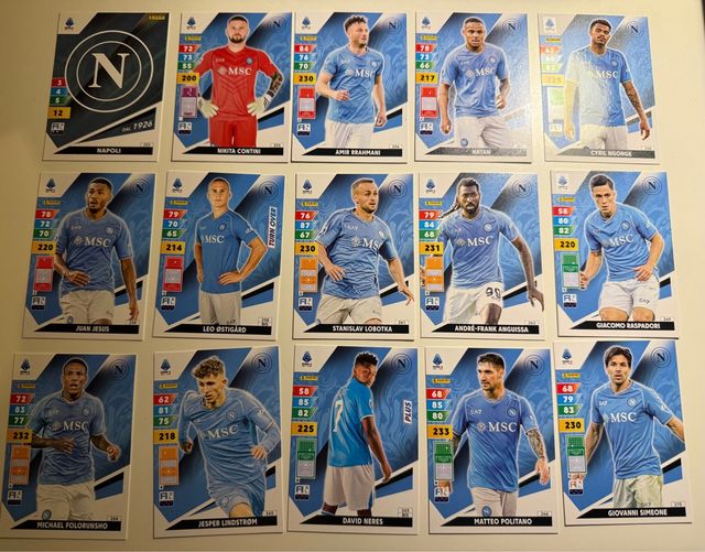 Tematica Carte Napoli 2024-2025