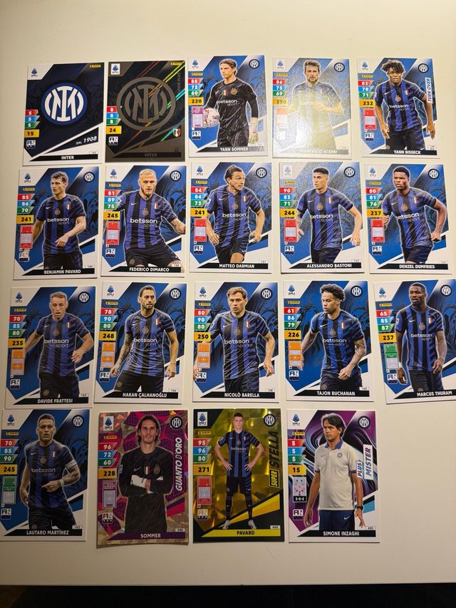 Tematica Inter 2024-2025