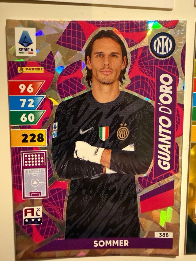 Tematica Inter 2024-2025