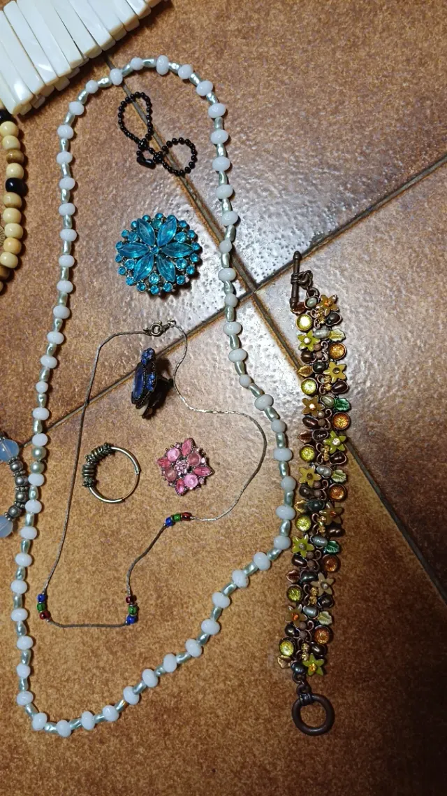 Lote Bisutería Multicolor y Plateada