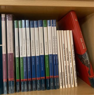Libros lectura Edelvives (varios títulos)
