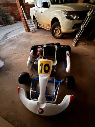 Kart de competición 125 2t PRECIO NEGOCIABLE