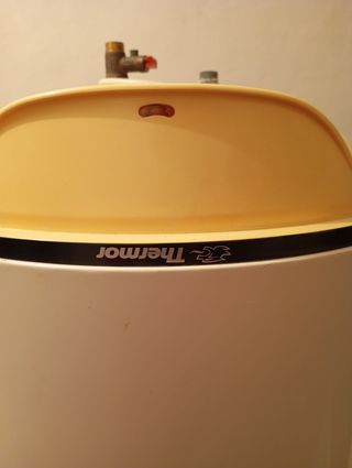 Termo Eléctrico Thermor 100L