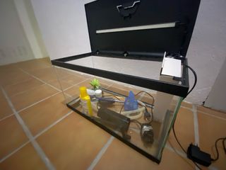 Acuario Pecera Rectangular de 58 litros