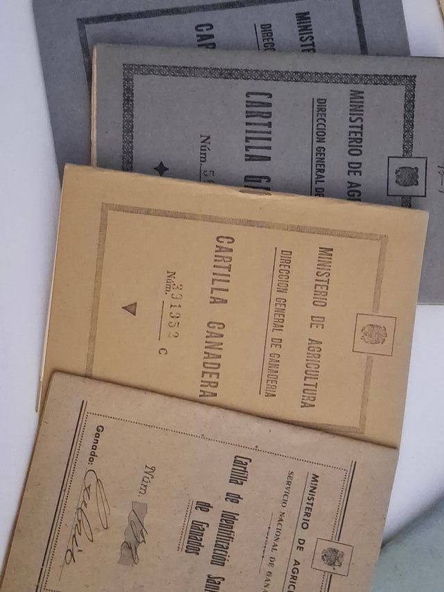 Lote documentos antiguos España (años 40–60)