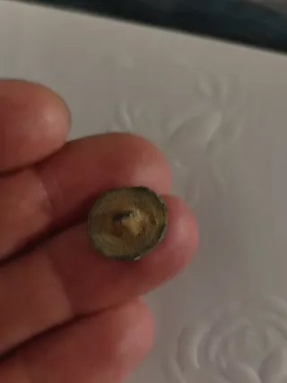 Botón Fernando VII Siglo XIX