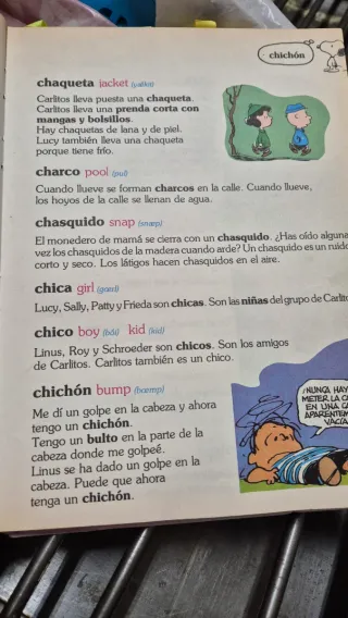 Diccionario de Carlitos