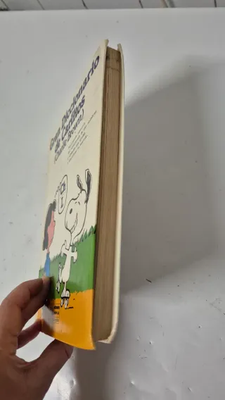 Diccionario de Carlitos