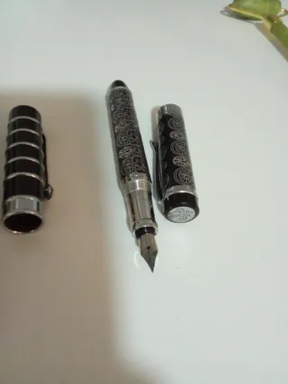 Set di 2 penne stilografiche