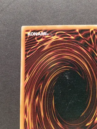 Drago di Alta Qualità - SDDC