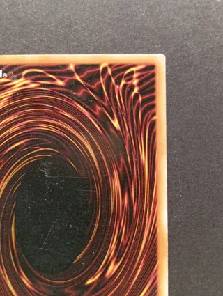 Drago di Alta Qualità - SDDC