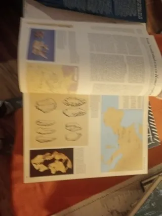 The World Atlas of Archaeology