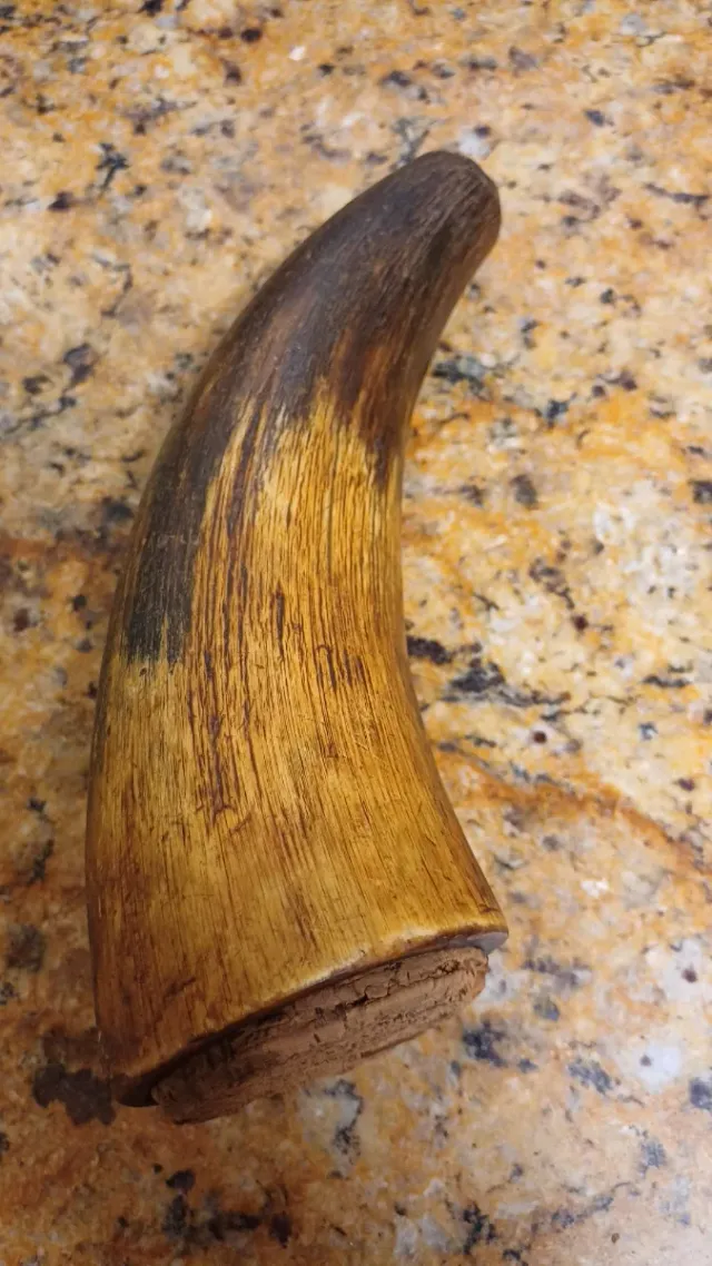 Pólvorera antigua de cuerno