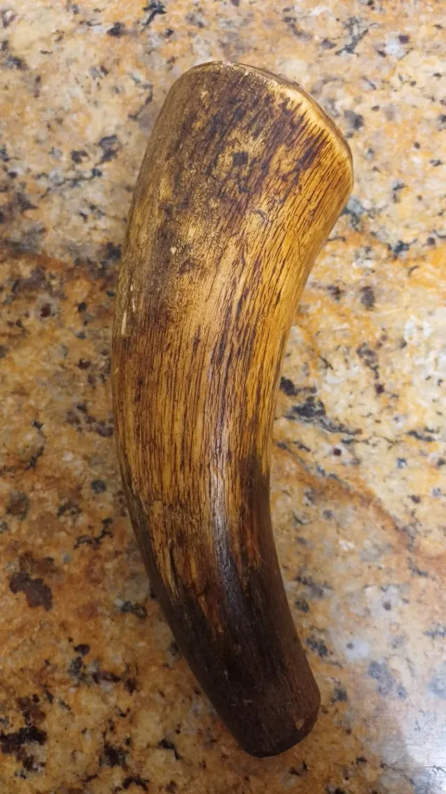 Pólvorera antigua de cuerno