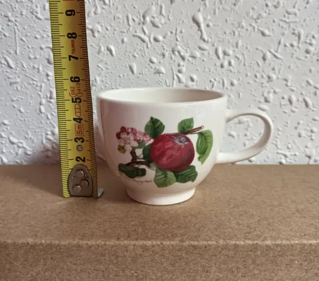 Tazas de café espresso Portmeirion Pomona.