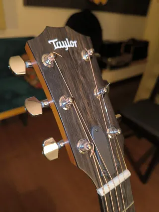 Guitarra Taylor 210ce + funda