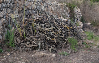 Llenya portada a casa i apilada.