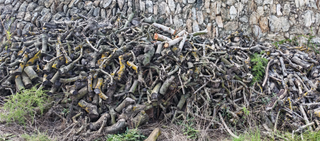 Llenya portada a casa i apilada.