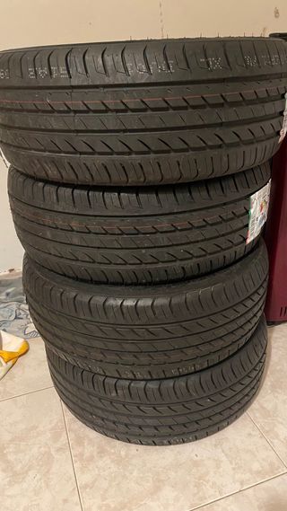Neumático 205/50ZR17 93W DUO1