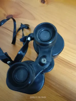 Prismáticos negros con correa