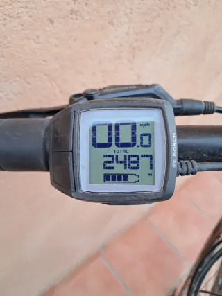 Bici Eléctrica Rieju Motor Bosch