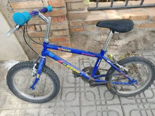 Bicicleta JL Wenty Ruedas y Frenos Nuevos