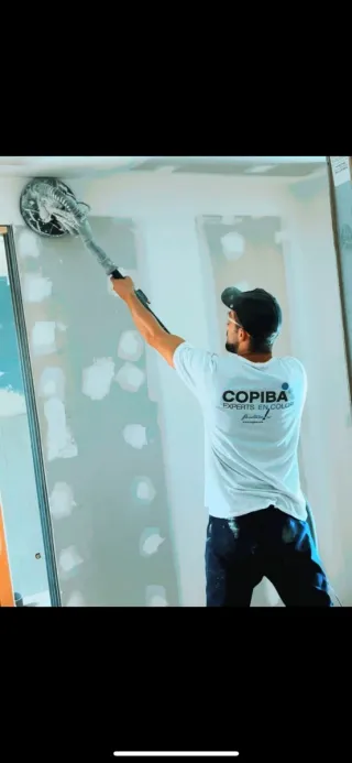 Pintor decorador profesional