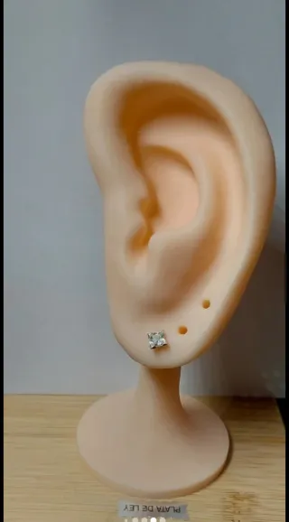 Pendientes de Plata de Ley