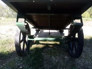 Carro para poni/burro mediano