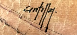 Cuadro grande con acuarela original de CENTELLAS