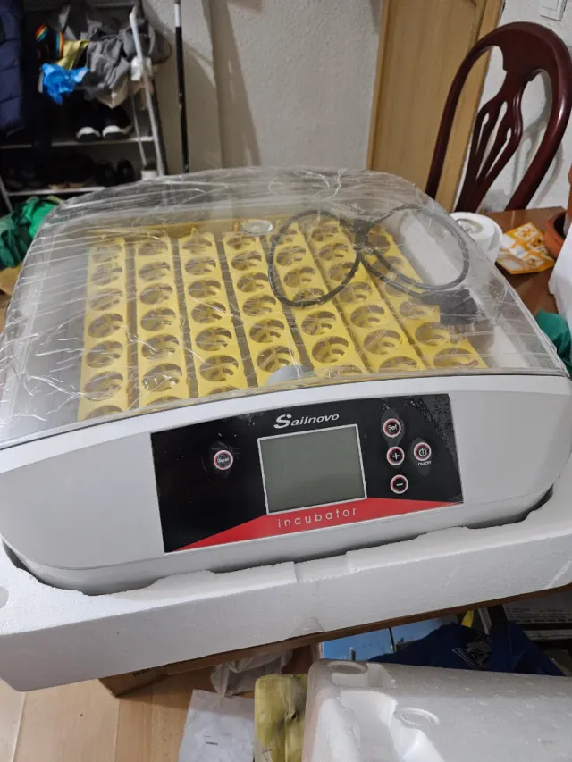 Incubadora Digital Sailnovo 41/55 Huevos