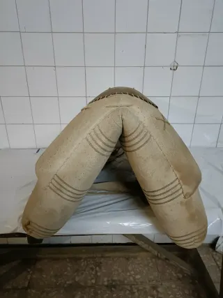 Montura, collarones y aguadera para burro