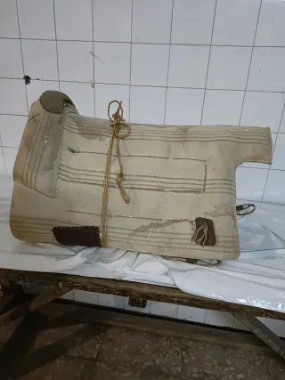 Montura, collarones y aguadera para burro