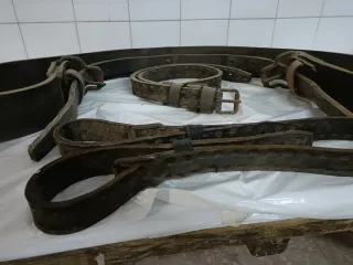 Montura, collarones y aguadera para burro