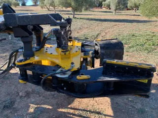 Vibrador aceituna y almendra