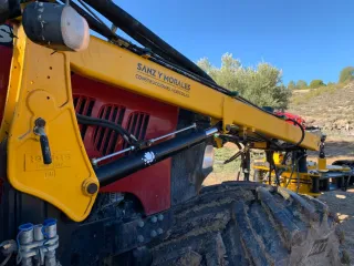 Vibrador aceituna y almendra